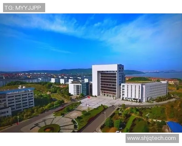 重庆网球队的蜕变之路总决赛特别报道见证辉煌与挑战的交织